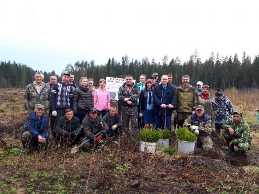 В канун празднования Дня Победы проходит акция «Сад памяти»