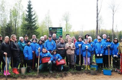 Новости — «Сад памяти» 2024 — фото
