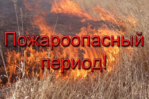 В лесах Тверской области начался пожароопасный сезон