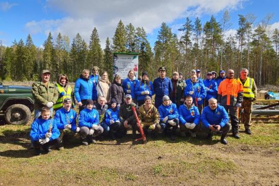 Посадка леса 2025 год