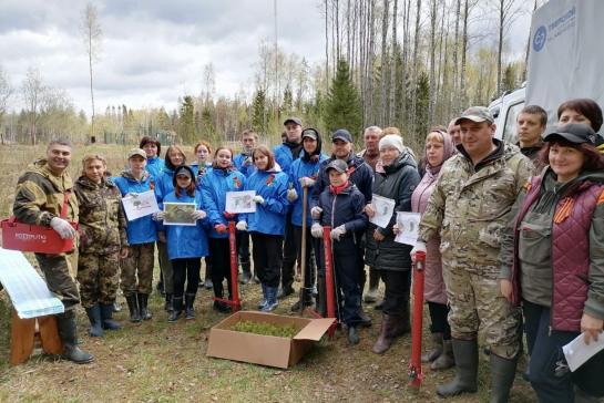 Посадка леса 2022 год