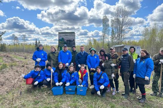 Посадка леса 2023 год